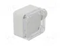 POLLIN Sonda de iluminación SN-16L