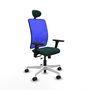 PIQUERAS Y CRESPO Silla de oficina Motilla Verde botella y Azul