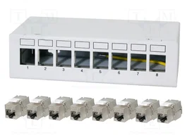 LogiLink Patch panel 8 port con 8 módulos Keystone Cat.6A