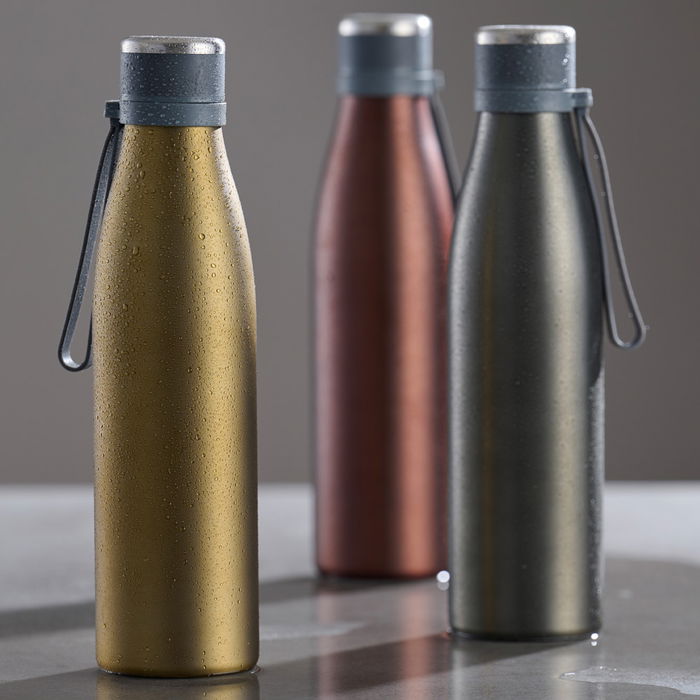 Day Termo Botella 700 Ml Acero Inoxidable Doble Pared con Asa Silicona Day Termo Botella 700 Ml Acero Inoxidable Doble Pared con Asa Silicona