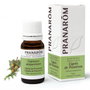 PRANAROM Aceite Esencial AEQT Ciprés de Provenza 10 ml