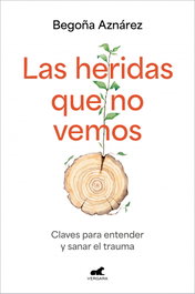 Las heridas que no vemos, Begoña Aznárez - Vergara
