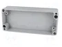 BOPLA EUROMAS Carcasa Universal de Aluminio IP66 65x150x34mm