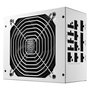 Cooler Master MWE Gold 1050 V2 White, Fuente de alimentación ATX 3.1 1050W 80 PLUS Gold certificada, color blanco, cableado totalmente modular, 14 cm FDB Fan