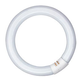 Patron Tubo fluorescente circular T9 40W G10q Luz Fría 6500K Ø400 mm
