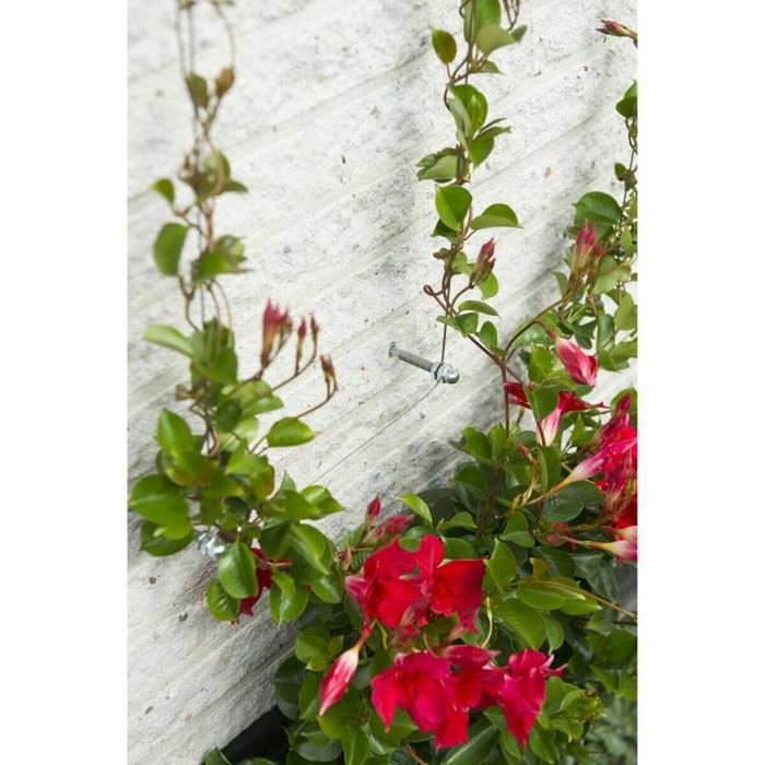 Nature Metallic Trellis 6040760 para plantas trepadoras Nature Metallic Trellis 6040760 para plantas trepadoras