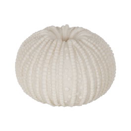 Lámpara Mesa Erizo Arenisca 12,80 X 12,80 X 8,30 cm (Set de 2)