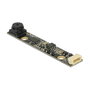 DeLOCK 96366 Módulo de Cámara USB 2.0 1,92 MP 45° Fixfokus