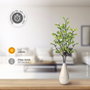 GSC Evolution Rama decorativa LED de hojas y bayas blancas, 0,75M, luz cálida