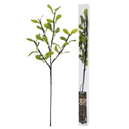 GSC Evolution Rama decorativa LED de hojas y bayas blancas, 0,75M, luz cálida