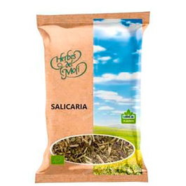 Salicaria Planta Eco