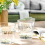 Hermia PB-520234 Juego de Vasos de Vidrio Transparente 300 ml (6 Piezas)