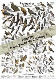 COSSETANIA EDICIONS Rapinyaires de Catalunya Poster