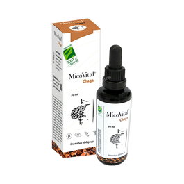 Micovital Chaga Extrcato Líquido