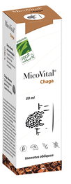 Micovital Chaga Extrcato Líquido