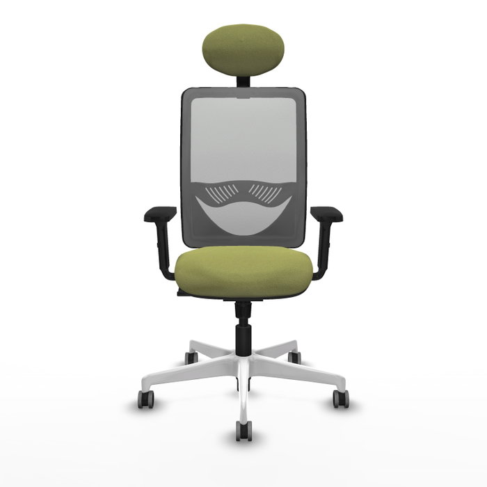 PIQUERAS Y CRESPO Silla de oficina Zulema con mecanismo Sincro, Verde oliva y Gris PIQUERAS Y CRESPO Silla de oficina Zulema con mecanismo Sincro, Verde oliva y Gris
