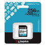Kingston Canvas Go! Plus 256GB SDXC