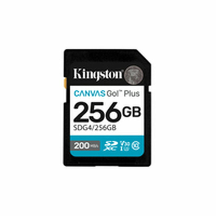 Kingston Canvas Go! Plus 256GB SDXC