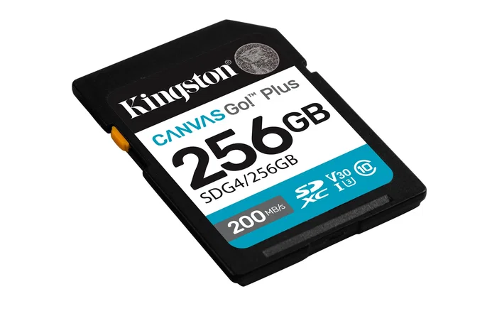 Kingston Canvas Go! Plus 256GB SDXC Kingston Canvas Go! Plus 256GB SDXC