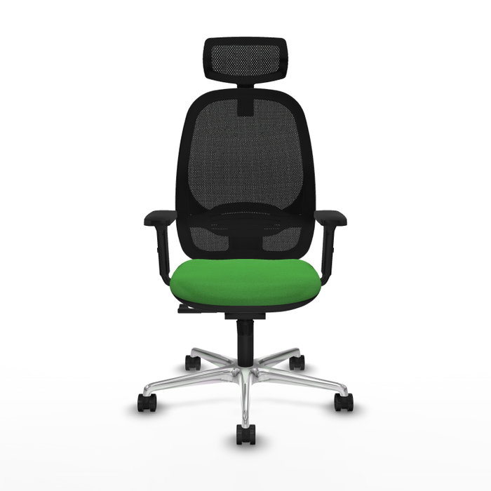 PIQUERAS Y CRESPO Silla de Oficina Cilanco con Mecanismo Sincro, Verde y Negro