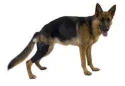 Kruuse Protector de Rodilla L Derecha para Rehabilitación