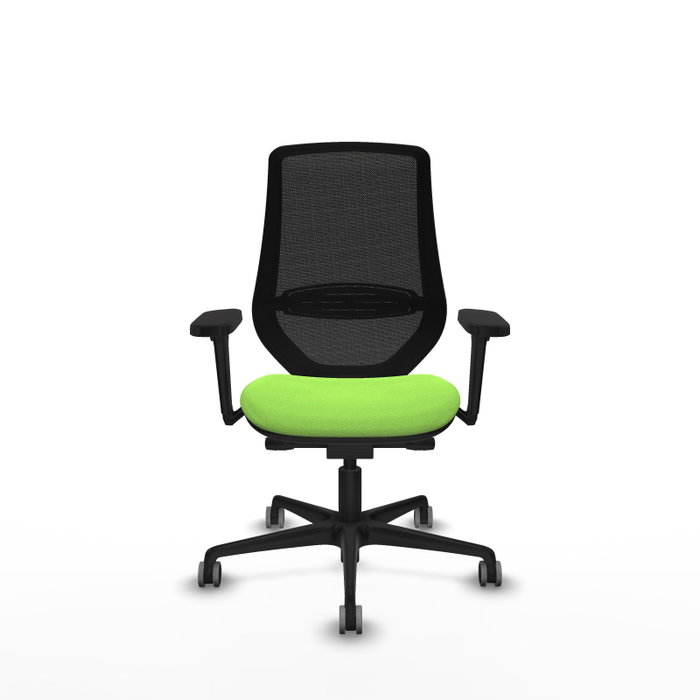 PIQUERAS Y CRESPO Silla de oficina Mardos con mecanismo Sincro/Traslack, Pistacho y Negro PIQUERAS Y CRESPO Silla de oficina Mardos con mecanismo Sincro/Traslack, Pistacho y Negro