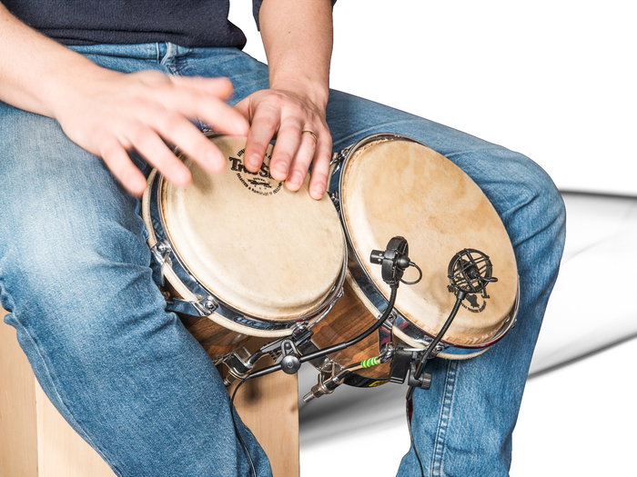 Micrófonos Prodipe para Instrumentos de Percusión Pl21