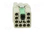 HARTING Han Q Plantilla de contacto hembra 10A 400V