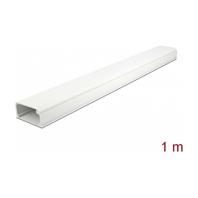 DeLOCK Conducto para cables con tapa autoadhesivo 57 x 28 mm - 1 m blanco