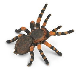 Collecta Tarántula Roja Mexicana L 88338 Réplica a Escala Pintada a Mano para Niños +3 Años