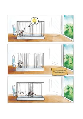 Astisendo Grupo Editorial, S.L. Pim, Pam i Pum (Catalan)