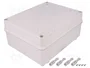 ELEKTRO-PLAST NASIELSK Carcasa Industrial Universal Gris