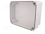 ELEKTRO-PLAST NASIELSK Carcasa Industrial Universal Gris