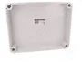 ELEKTRO-PLAST NASIELSK Carcasa Industrial Universal Gris