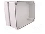 ELEKTRO-PLAST NASIELSK Carcasa Industrial Universal Gris