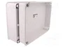 ELEKTRO-PLAST NASIELSK Carcasa Industrial Universal Gris