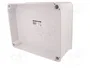 ELEKTRO-PLAST NASIELSK Carcasa Industrial Universal Gris
