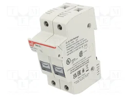 DF ELECTRIC Portafusibles PMX de 2 polos para raíl DIN, 30A, 600VAC