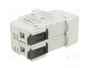 DF ELECTRIC Portafusibles PMX de 2 polos para raíl DIN, 30A, 600VAC