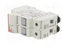 DF ELECTRIC Portafusibles PMX de 2 polos para raíl DIN, 30A, 600VAC