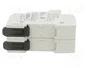 DF ELECTRIC Portafusibles PMX de 2 polos para raíl DIN, 30A, 600VAC