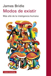 Modos de existir, James Bridle - GALAXIA GUTENBERG