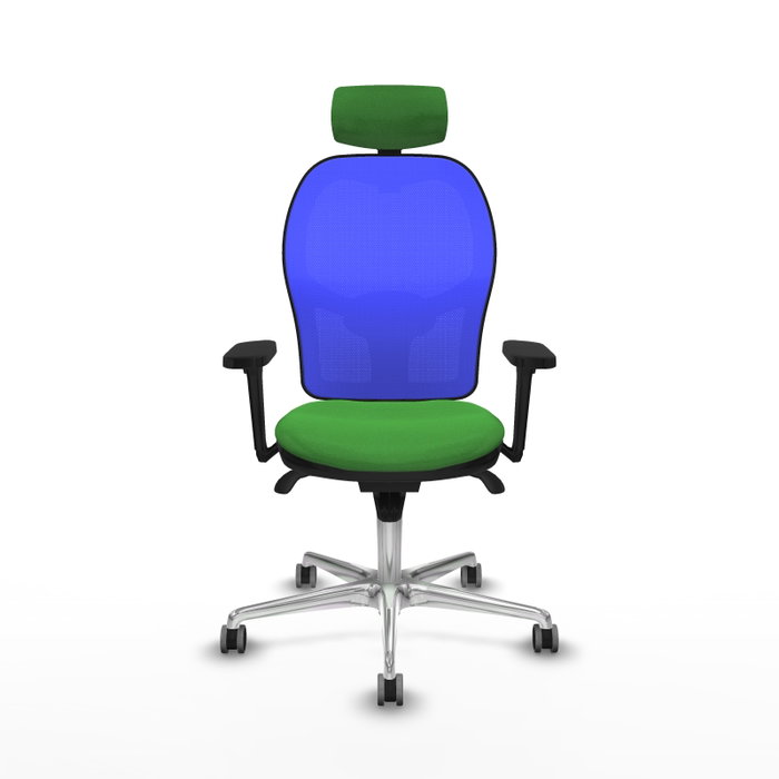 PIQUERAS Y CRESPO Silla de oficina Jorquera Verde y Azul PIQUERAS Y CRESPO Silla de oficina Jorquera Verde y Azul