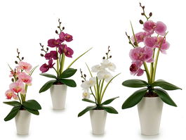 Ibergarden Orquidea Maceta Conica Blanca 37cm (14x35x8 cm) Plastico (Set de 24)