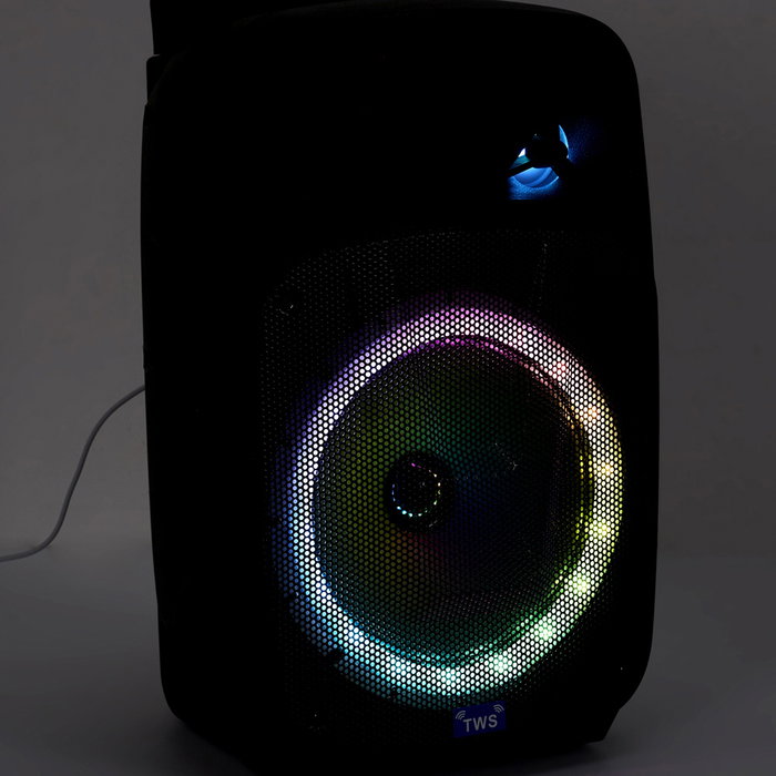 Party Time Altavoz Con 2 Micros Karaoke 20W Party Time