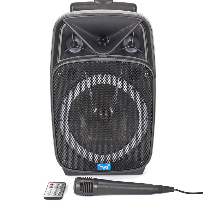 Party Time Altavoz Con 2 Micros Karaoke 20W Party Time