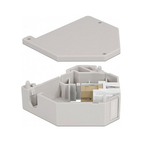 DeLOCK Adaptador de carril DIN Keystone SC Simplex hembra a SC Simplex hembra, Gris