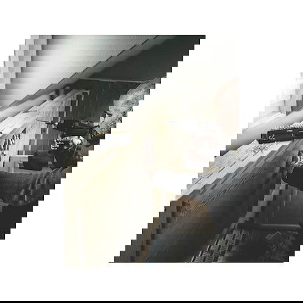 Wera 05057436001 Bit-Check 30 Wood TORX HF 1 Juego de puntas 29 piezas, 1/4"