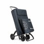 Rolser Carro de la compra termo fresh 4.2 Marengo