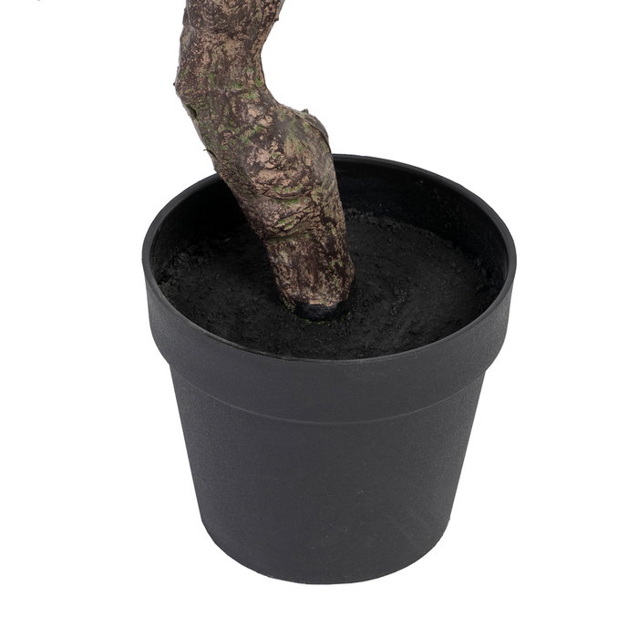 Planta Eucalipto Verde 105 X 100 X 160 cm